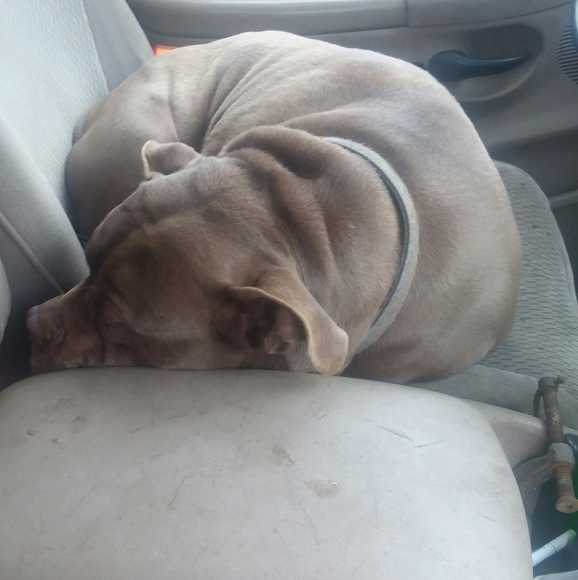 Meet your Posher, Brian - Picture 1 of 1